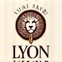 Logo Lyon Saveurs
